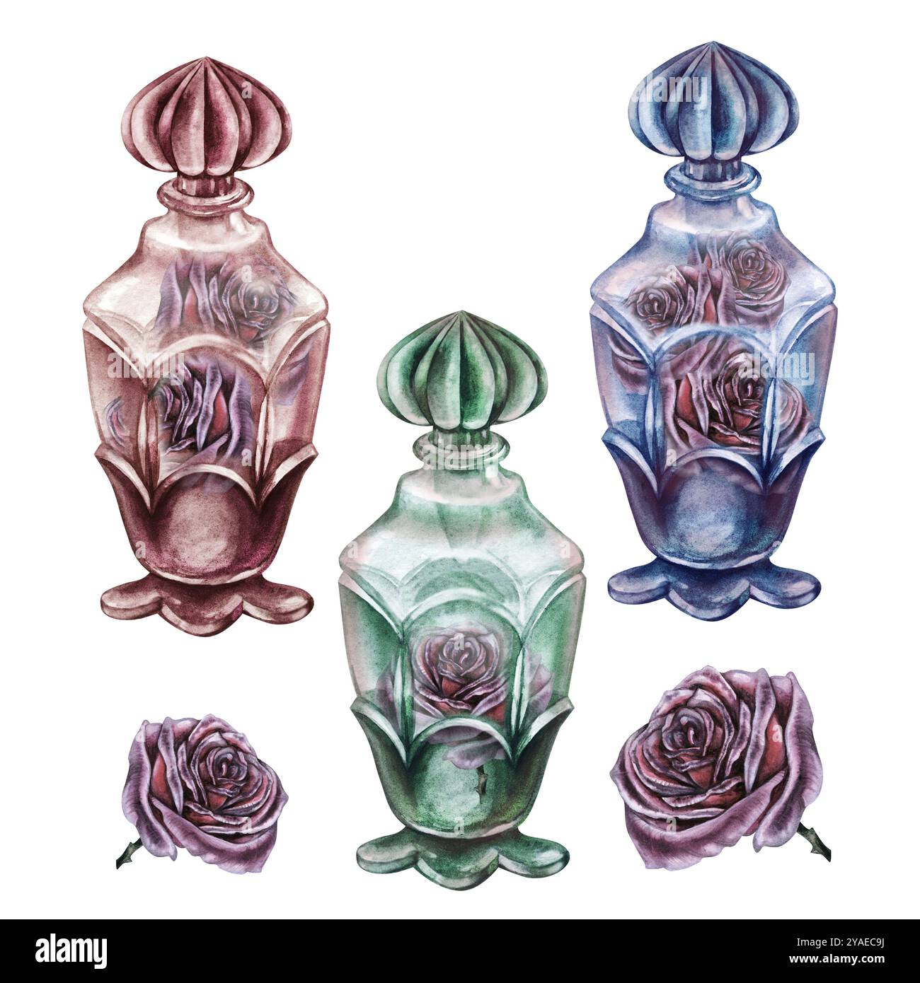 Roses violettes gothiques foncées vintage à l'intérieur d'une bouteille vintage en verre clair. Modèle d'illustration d'aquarelle pour aromathérapie, potion magique de sorcière, alchimie, Banque D'Images