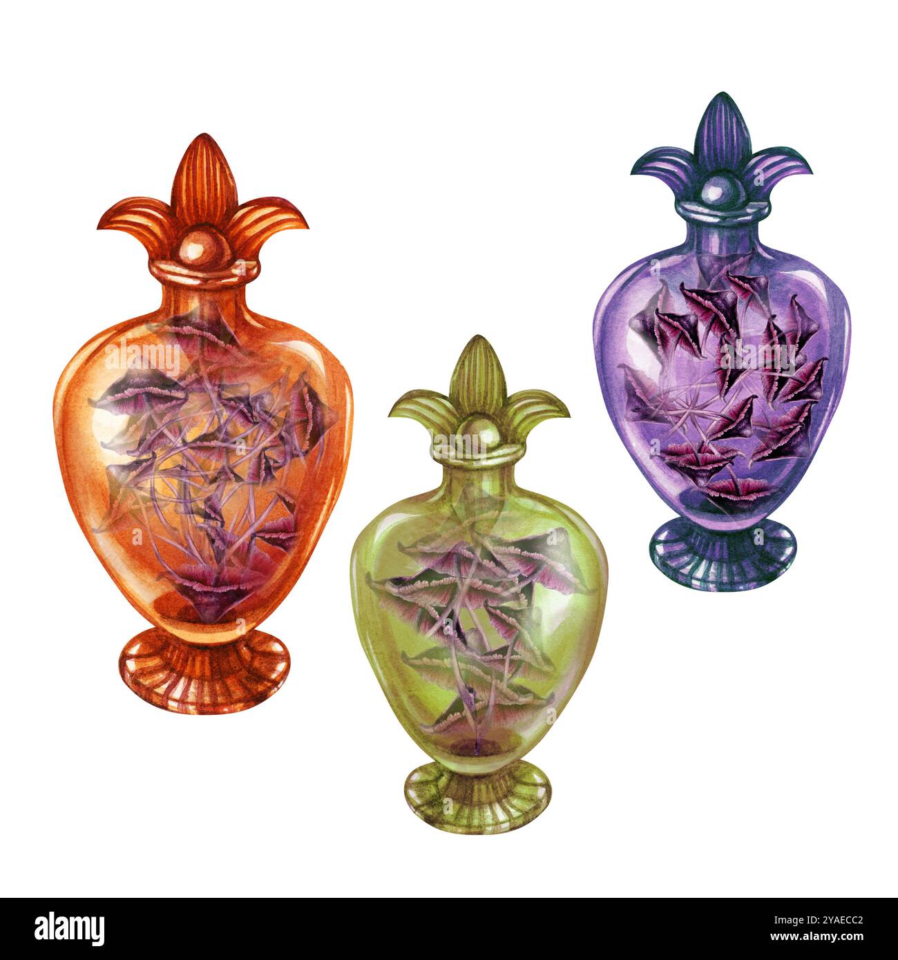 Bouteilles vintage en verre transparent avec des champignons toxiques Toadstools. Modèle d'illustration d'aquarelle pour les potions magiques de sorcière, alchimie, Halloween, m Banque D'Images