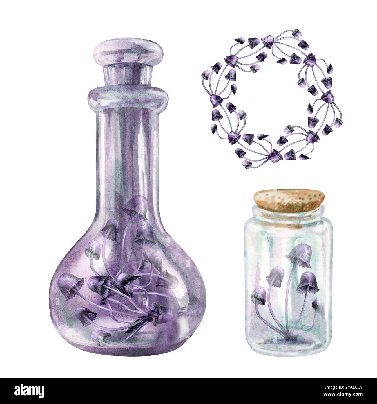 Bouteilles vintage en verre transparent avec des champignons toxiques Toadstools. Modèle d'illustration d'aquarelle pour les potions magiques de sorcière, alchimie, Halloween, m Banque D'Images