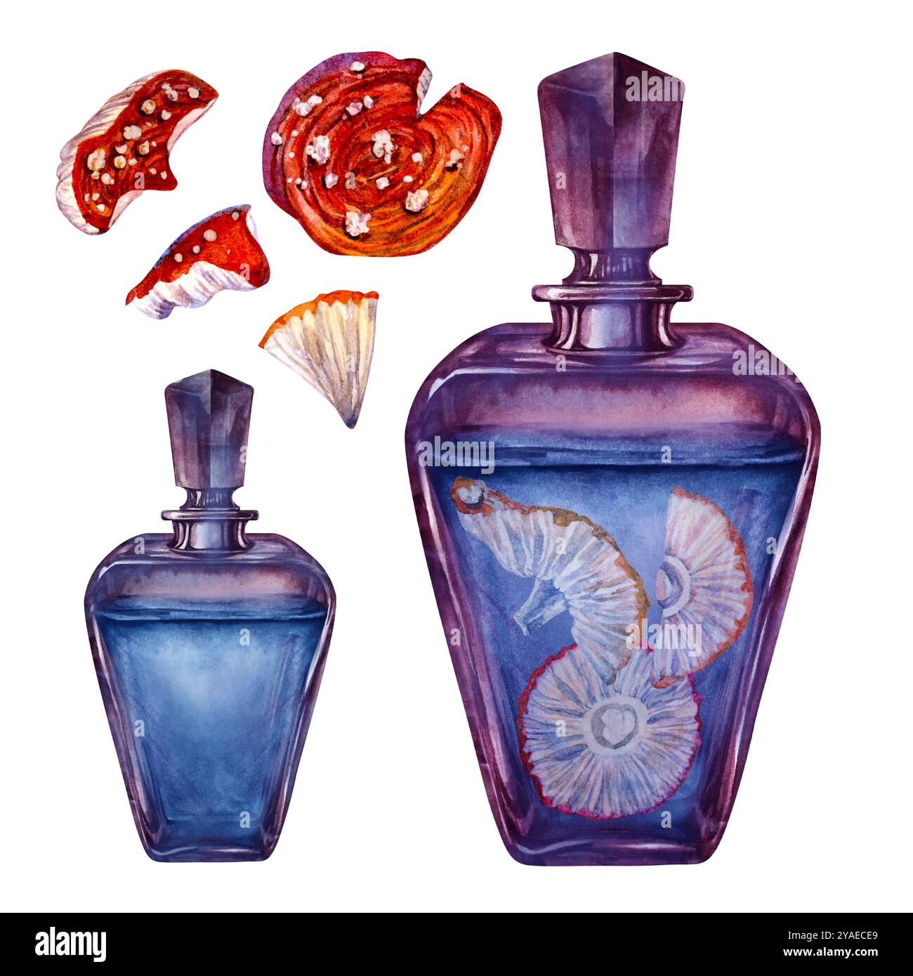 Bouteille vintage en verre foncé transparent avec des agarics liquides et toxiques de mouche de champignons. Modèle d'illustration d'aquarelle pour la potion magique de sorcière, alchem Banque D'Images