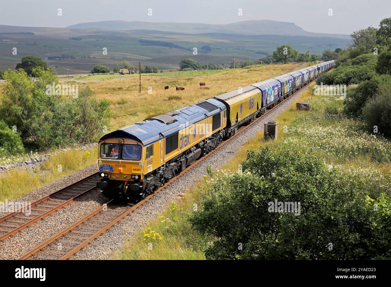 66301 passe Salt Lake Cottages sur 31.7.24 avec 4N61 12,00 Drax au terminal de charbon de Tyne détourné pour une séance photo, Banque D'Images