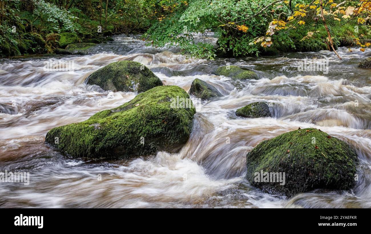 River Teign, parc national de Dartmoor Banque D'Images