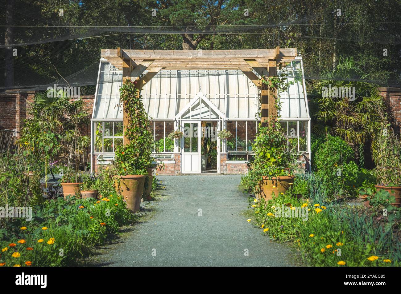 Un beau jardin clos formel avec serre de style victorien et patch de légumes dans un jardin de campagne anglais Banque D'Images