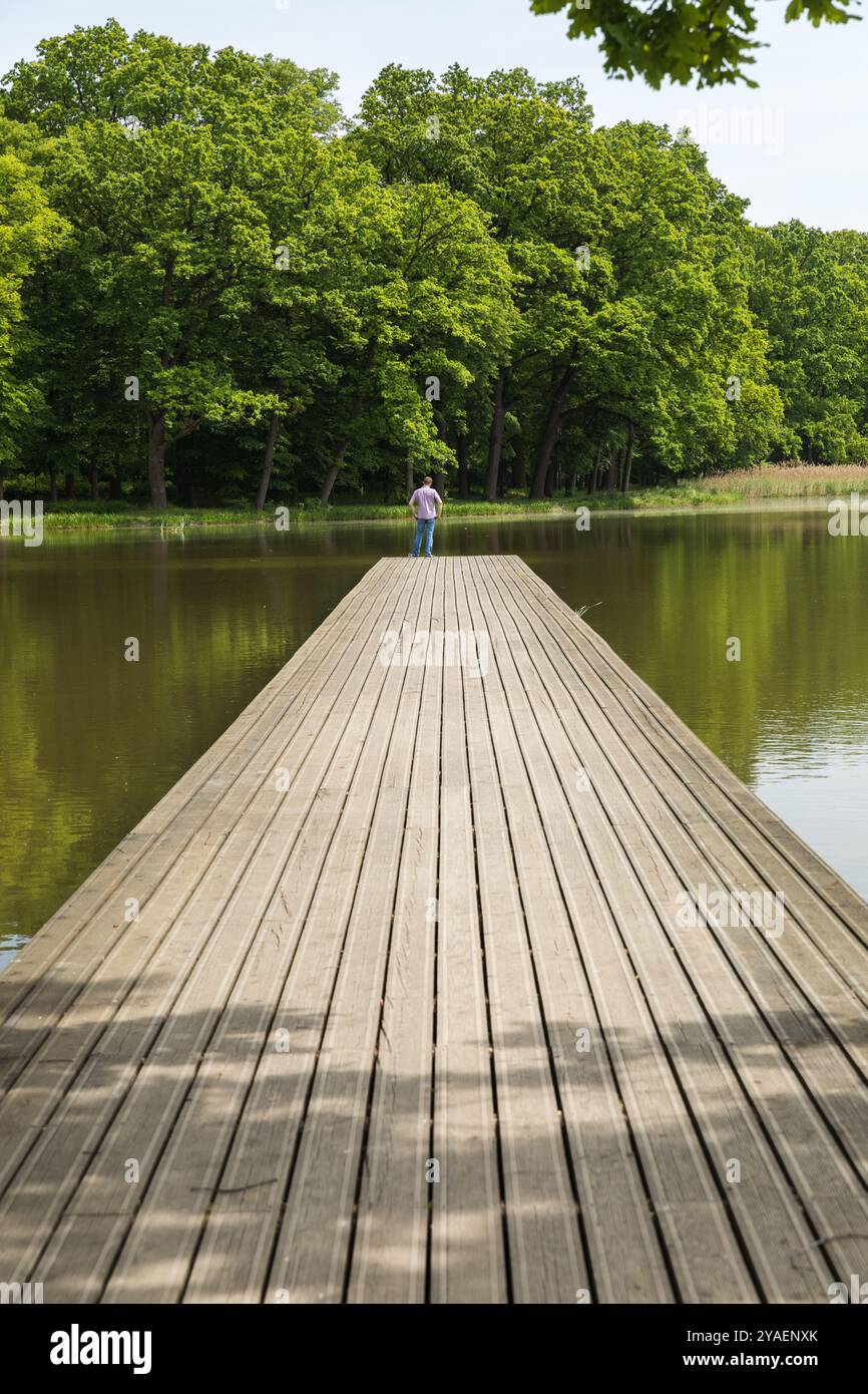 Jetée en bois sur le lac, plan symétrique, lignes directrices en planches. Banque D'Images