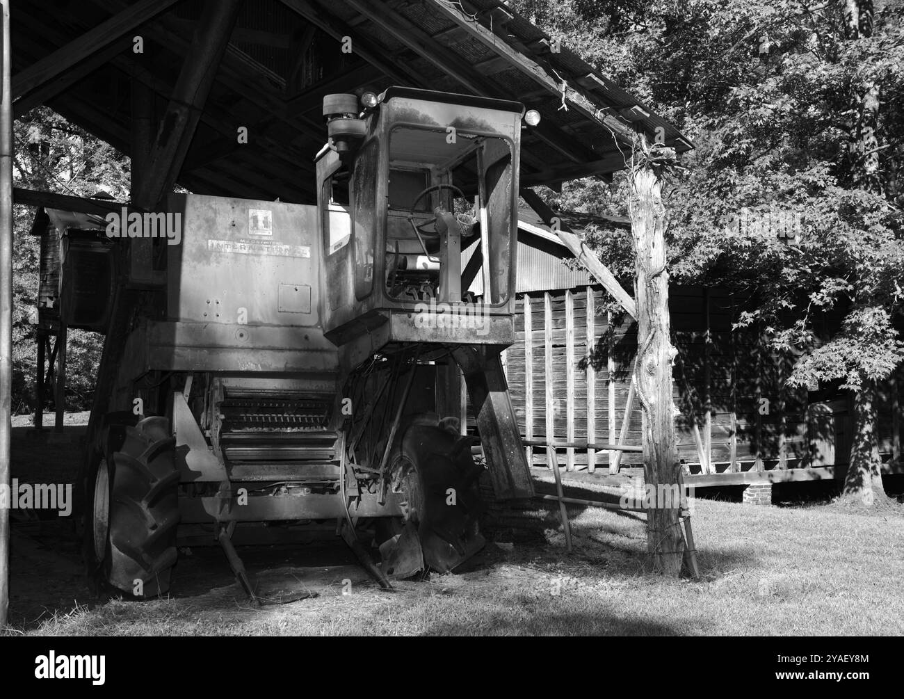 Moissonneuse-batteuse McCormick International 403. Banque D'Images