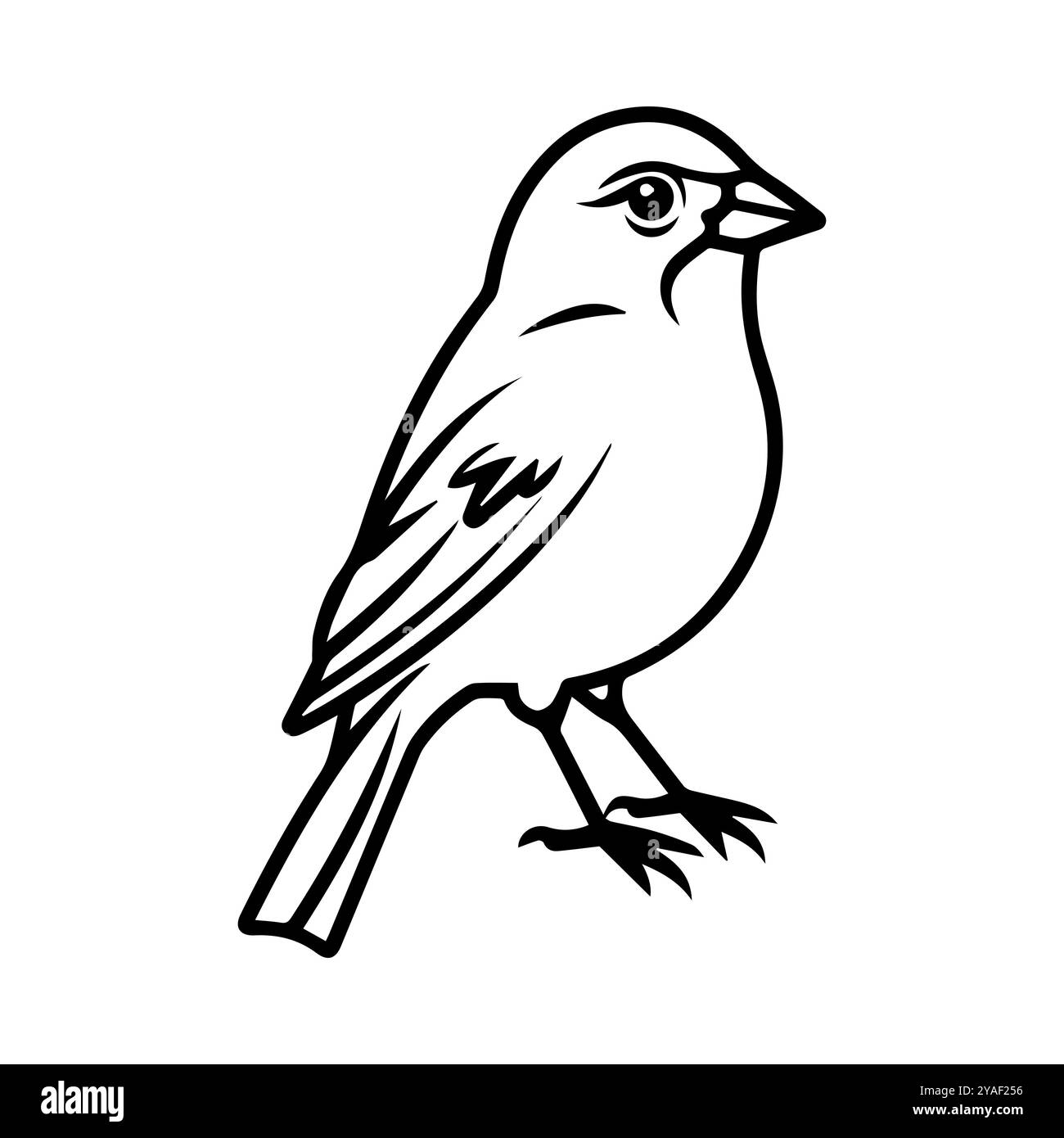 icône canari ou symbole de ligne moderne. Dessin au trait vectoriel et conception d'icône avec contour audacieux. Noir et blanc Pixel Perfect symbole minimaliste blanc isolé Illustration de Vecteur