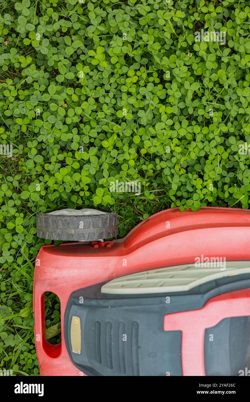 Tondeuse à gazon rouge sur le champ de trèfle vert pendant l'entretien de la pelouse par une journée ensoleillée. Concept d'entretien du jardin, d'aménagement paysager et de travail de cour durable Banque D'Images