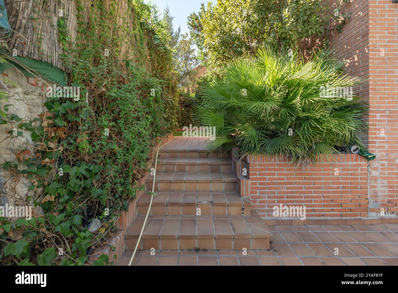 Jardin urbain : pour cultiver vos propres légumes et herbes aromatiques Banque D'Images