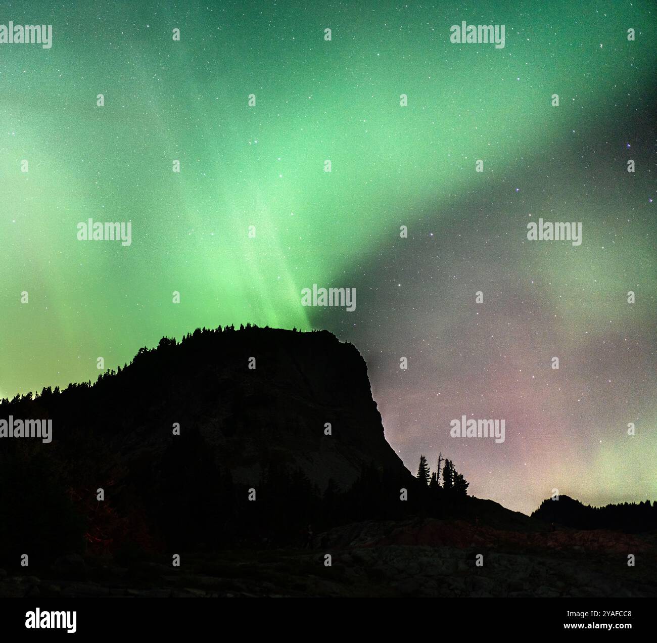 Aurora Borealis au-dessus de table Mountain dans les Cascades du Nord de l'État de Washington Banque D'Images Aurora Borealis au-dessus de table Mountain dans les Cascades du Nord de l'État de Washington Banque D'Images