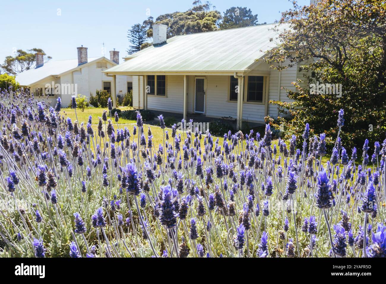 Bâtiments et environs dans police point Shire Park près de la célèbre station de quarantaine de point Nepean à Melbourne, Victoria, Australie, Océanie Banque D'Images