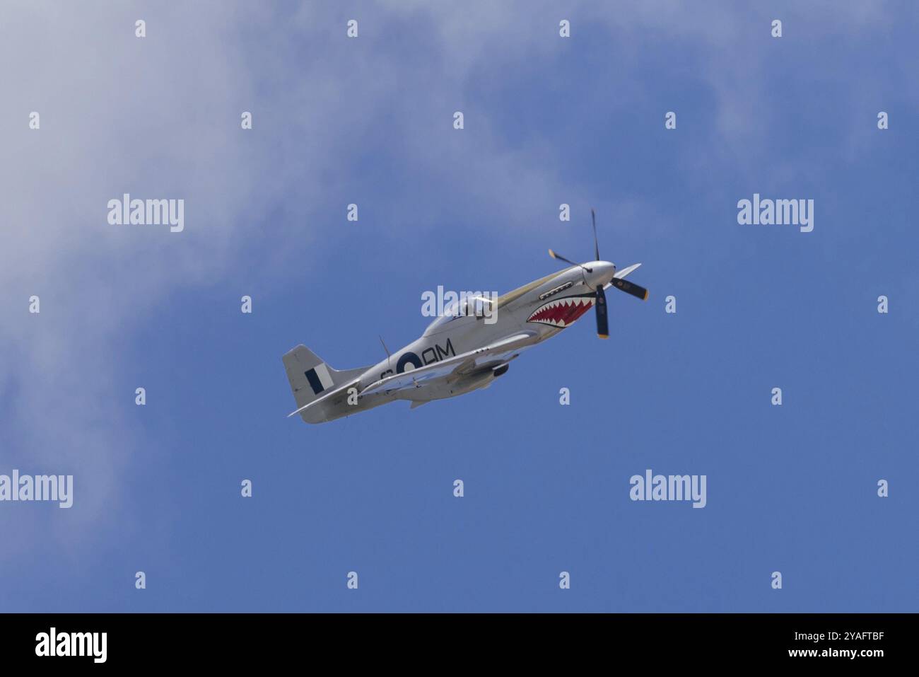 RAAF P51 Mustang VH-SVU (A68-750) faisant une démonstration à Geelong, Australie pour la journée de l'Australie le 26 janvier 2024 Banque D'Images