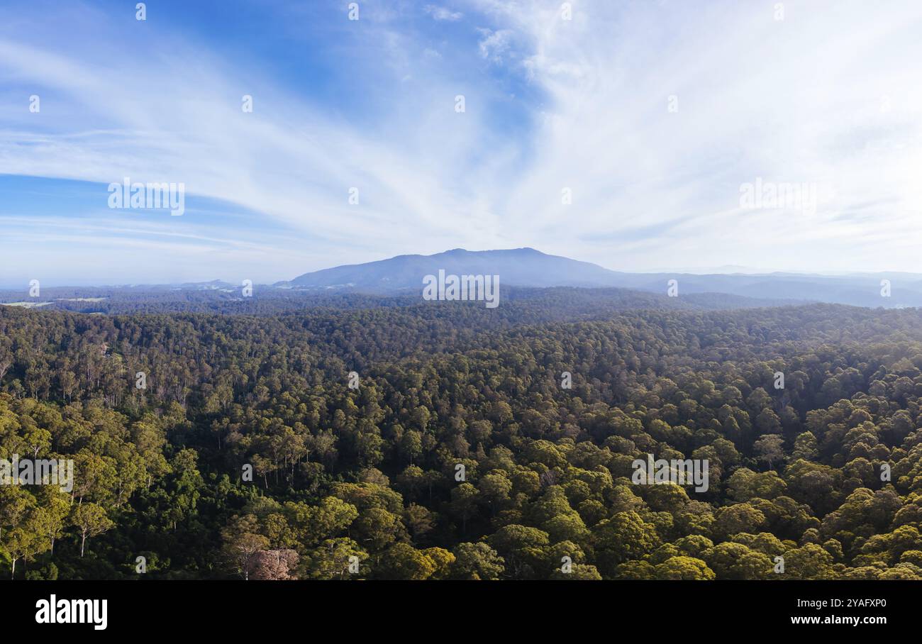 Vue aérienne près de Central Tilba du mont Dromedary dans le parc national de Gulaga en Nouvelle-Galles du Sud, Australie, Océanie Banque D'Images