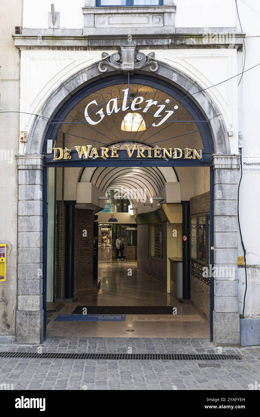 Hasselt, Limbourg, Belgique, 04 12 2022, porte d'entrée décorée de la galerie de luxe de Ware Vrienden, Europe Banque D'Images