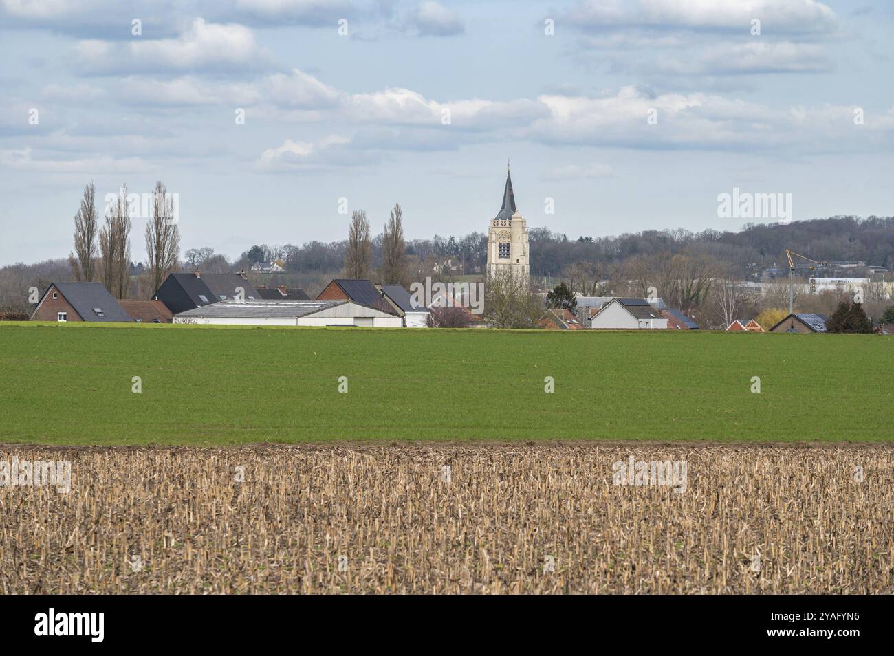 Terres agricoles cultivées des champs de maïs et le village de Ternat, Brabant flamand, Belgique, Europe Banque D'Images