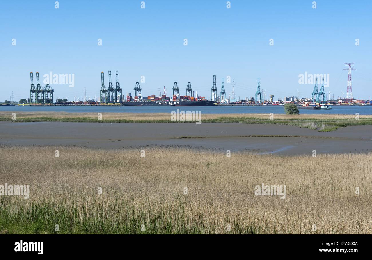 Doel, est, Flandre, Belgique, 06 01 2021 Port maritime et navires et grues internationaux, Europe Banque D'Images