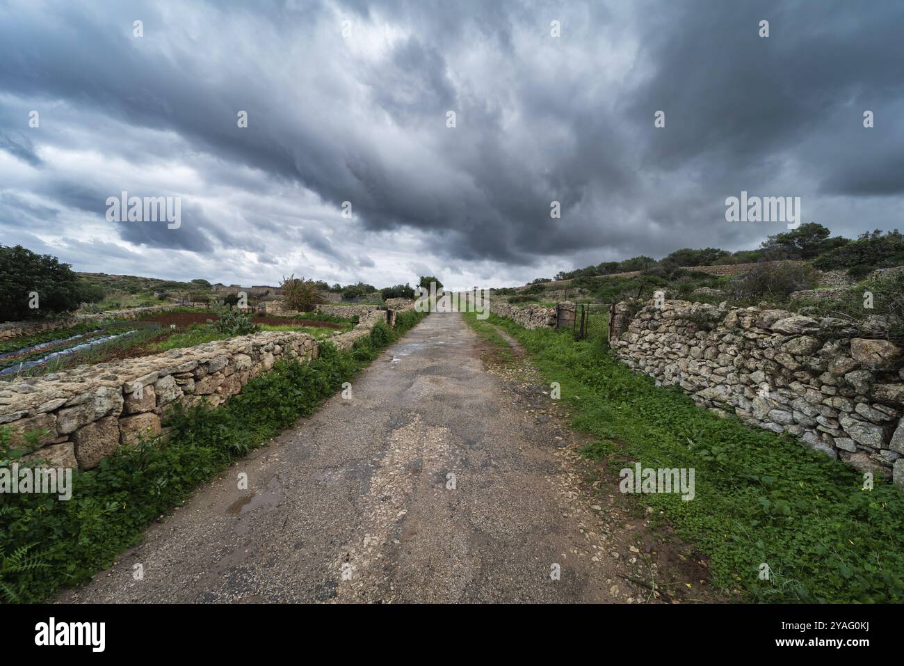 Routes douces à travers des jardins et des champs agricoles traditionnels avec des nuages de pluie sombres en arrière-plan à Selmun, Malte, Europe Banque D'Images