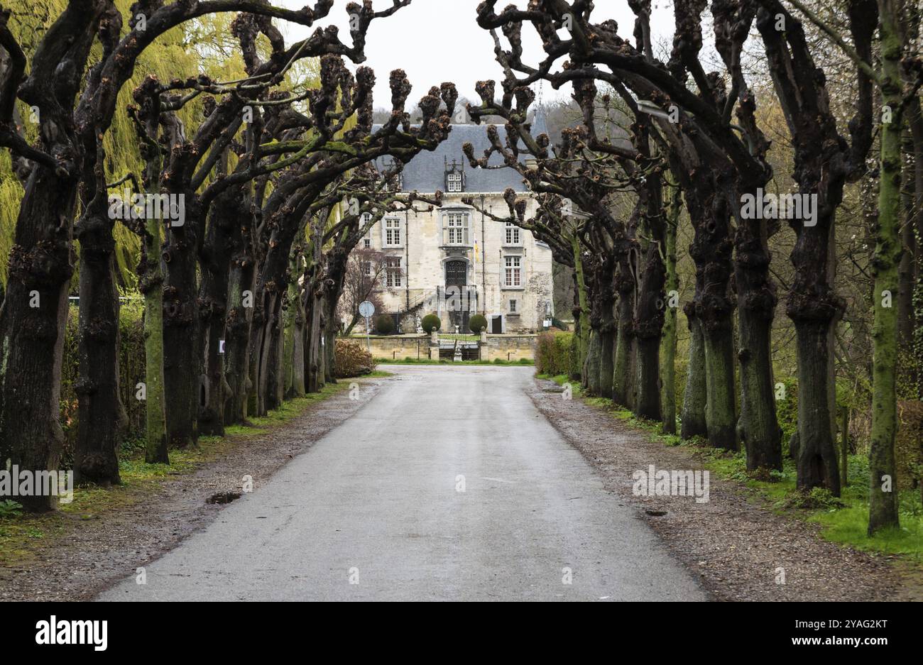 Valkenburg, Limbourg, pays-Bas, 04 06 2022- ruelle des arbres vers le vieux château, Europe Banque D'Images