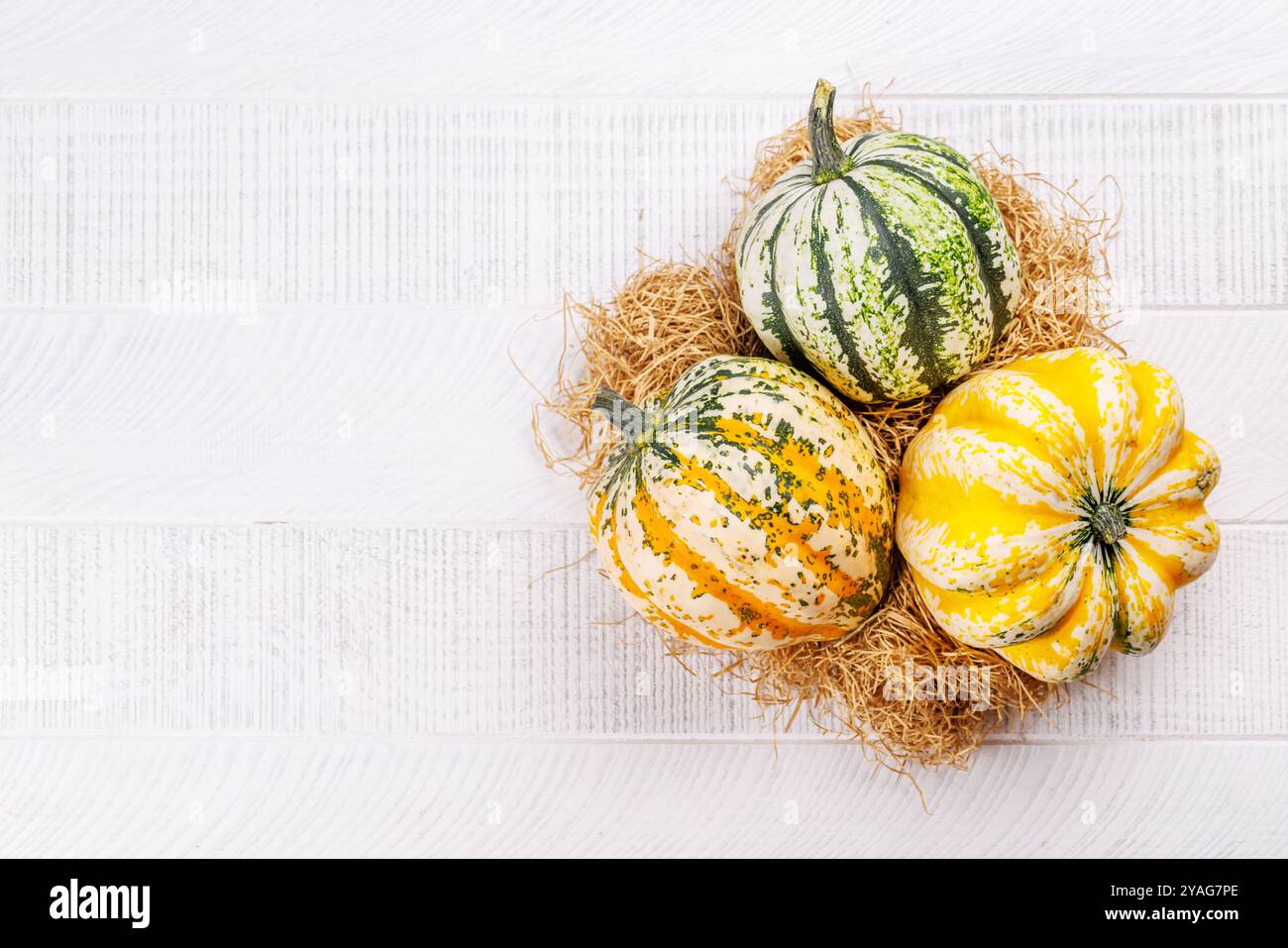 Arrangement de nourriture sur le thème de l'automne avec des citrouilles sur une table, créant une atmosphère saisonnière confortable. Inclut un espace de copie pour votre contenu Banque D'Images