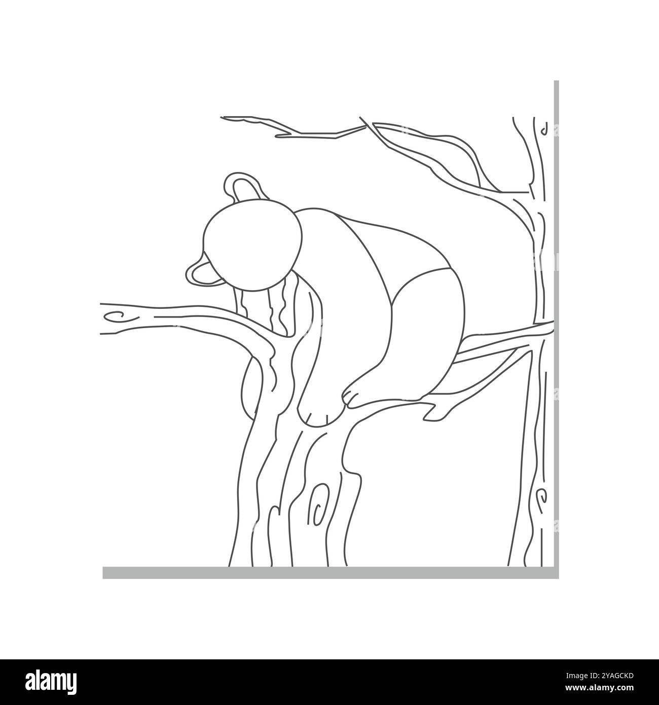 Ensemble de croquis dessiné à la main d'ours de panda sur un fond blanc. Mignon ours panda. Visage de panda, ours de panda grimpant au bambou, marchant et mangeant du bambou Illustration de Vecteur