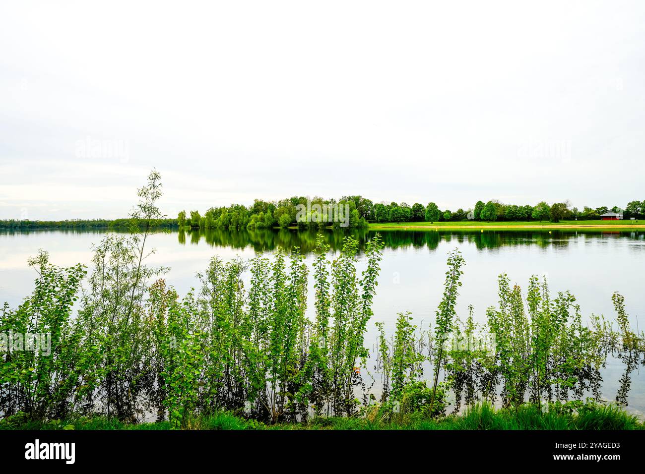 Auesee près de Wesel. Paysage au bord du lac. Banque D'Images