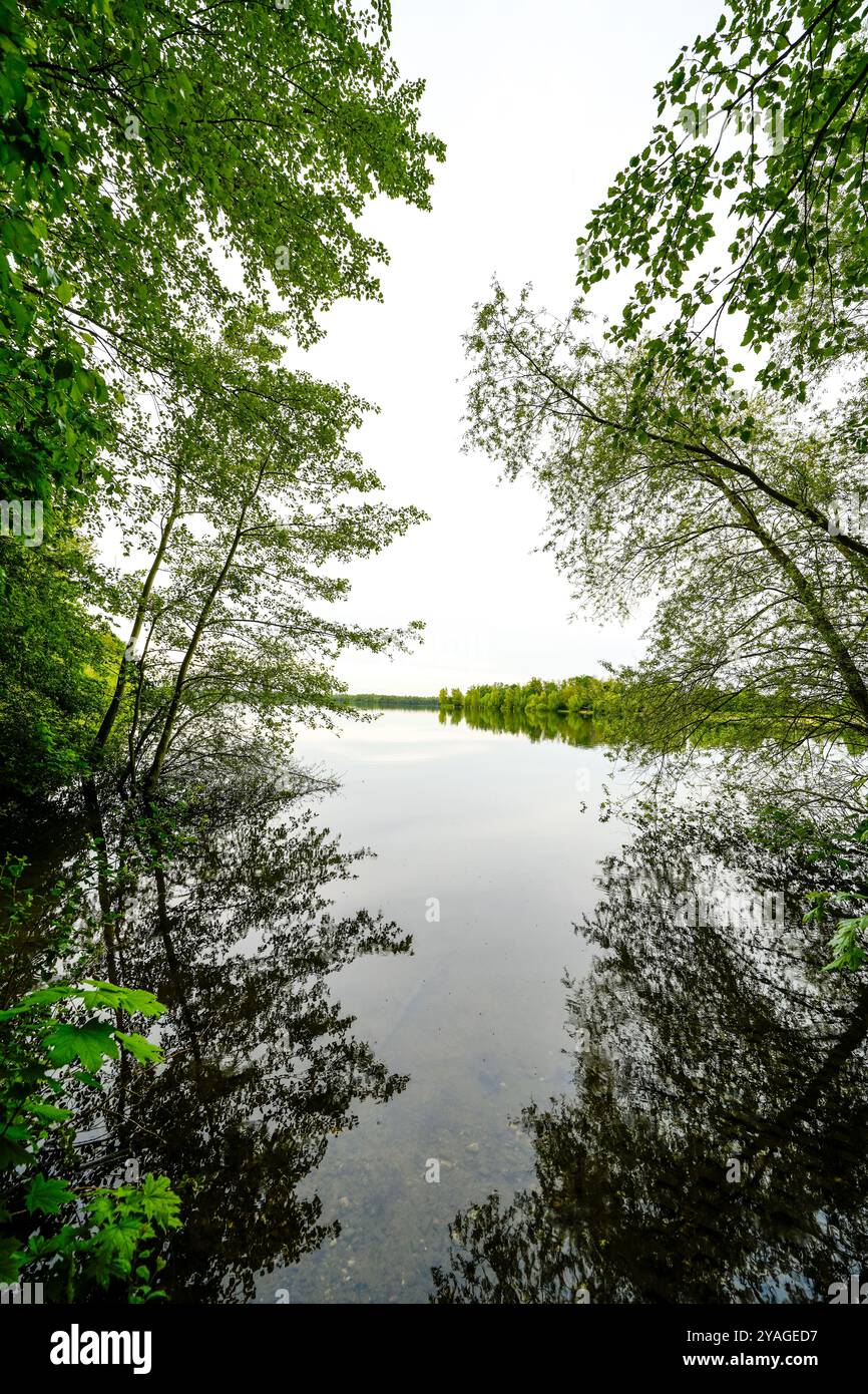 Auesee près de Wesel. Paysage au bord du lac. Banque D'Images