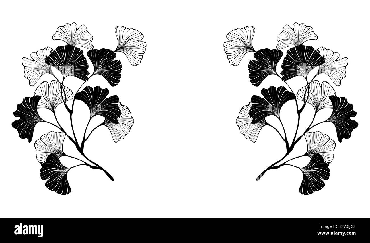 Composition symétrique de brindilles de ginkgo biloba noires, dessinées artistiquement sur fond blanc. Ginko Biloba. Illustration de Vecteur