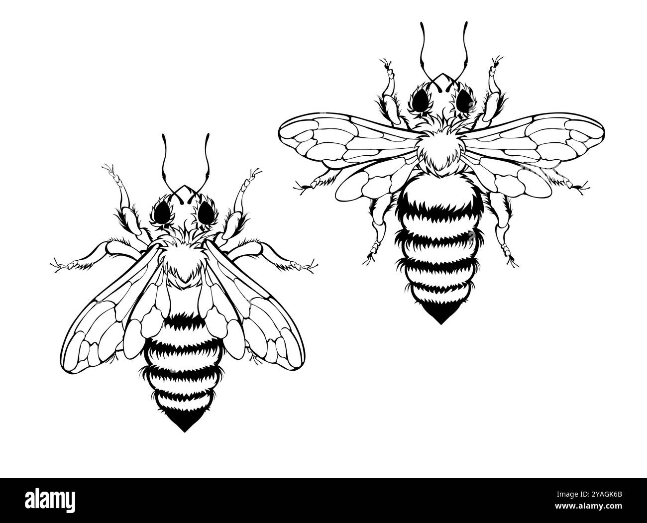 Contour, monochrome, noir, dessin artistique de deux abeilles moelleuses et douces. Contour Bee. Illustration de Vecteur