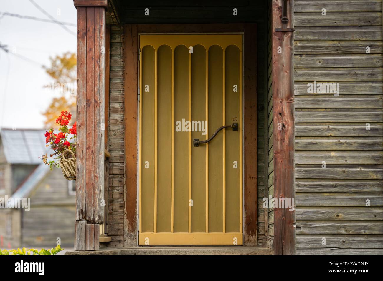 Vieille porte verte et jaune à l'extérieur de la maison en bois. Entrée avant peinte d'une maison en bois. Fond de porte en bois. Banque D'Images