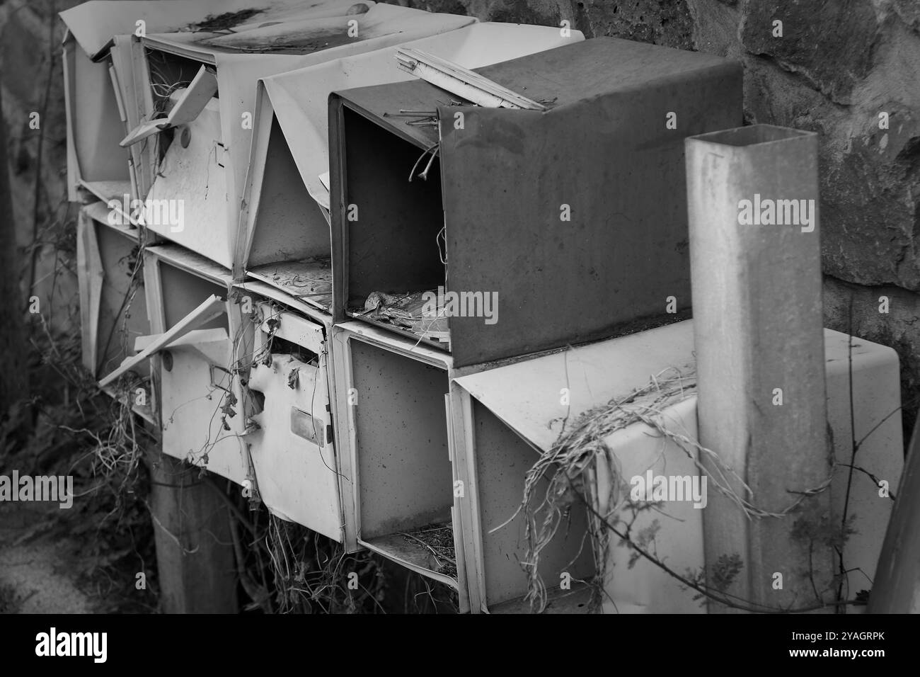 Photo en noir et blanc de vieilles boîtes aux lettres altérées envahies de végétation Banque D'Images