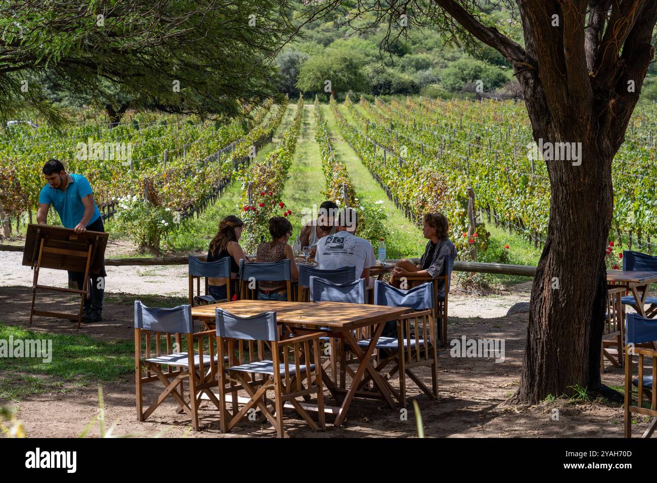 Les visiteurs déjeunent à la Bodega et Finca las Nubes, une cave et vignoble près de Cafayate, en Argentine. Banque D'Images