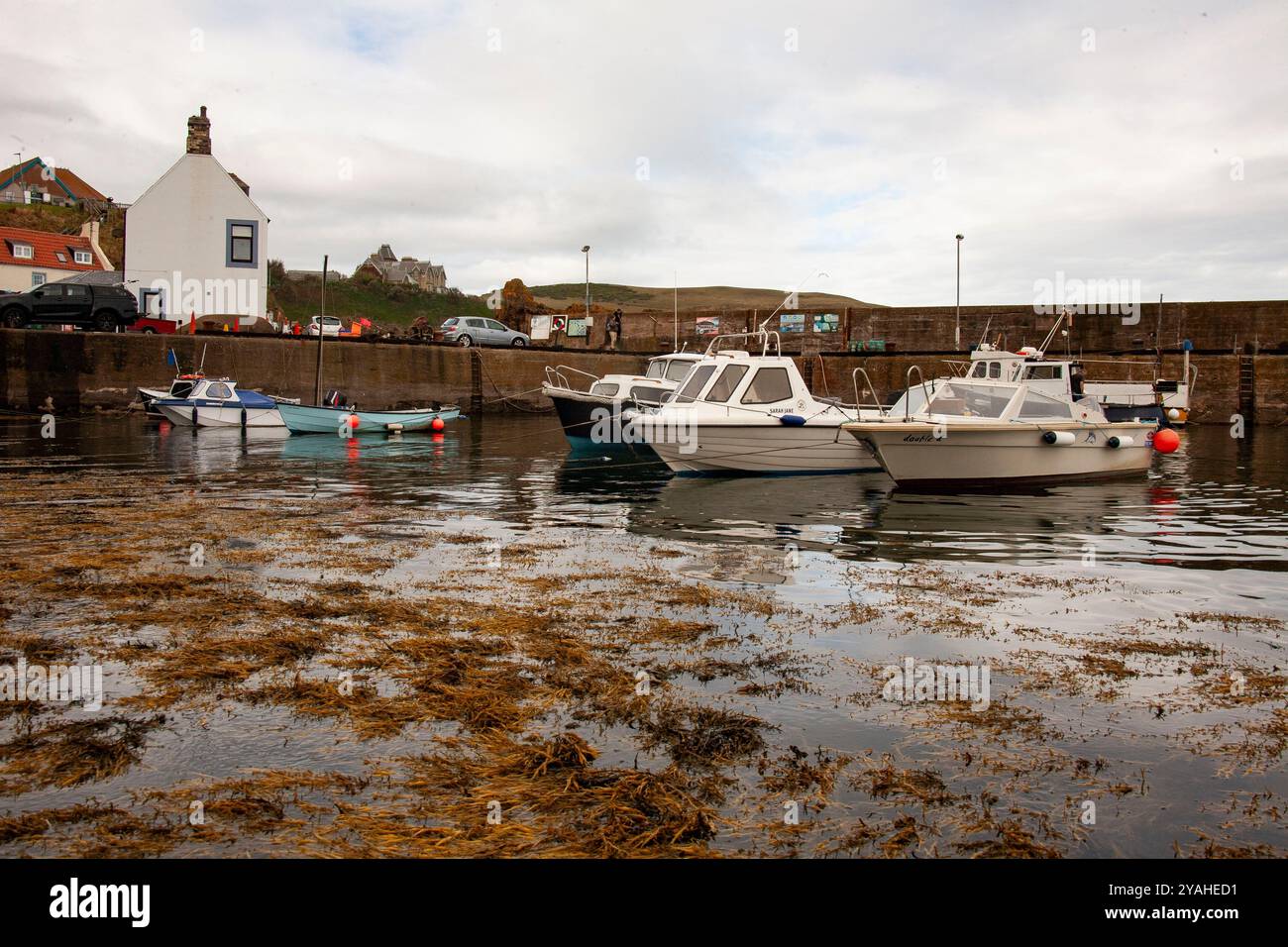 Port de pêche de St Abbs dans la zone marine de conservation du sud-est de l'Écosse Banque D'Images