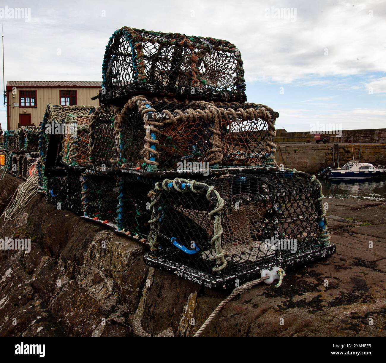 Port de pêche de St Abbs avec casiers à homard au sud-est de l'Écosse zone de conservation marine côtière Banque D'Images