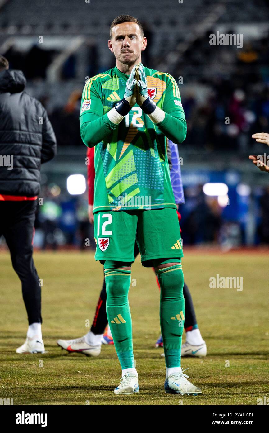 Le gardien du pays de Galles Danny Ward à temps plein. Islande v pays de Galles dans la Ligue des Nations de l'UEFA au stade Laugardalsvöllur le 11 octobre 2024. Banque D'Images