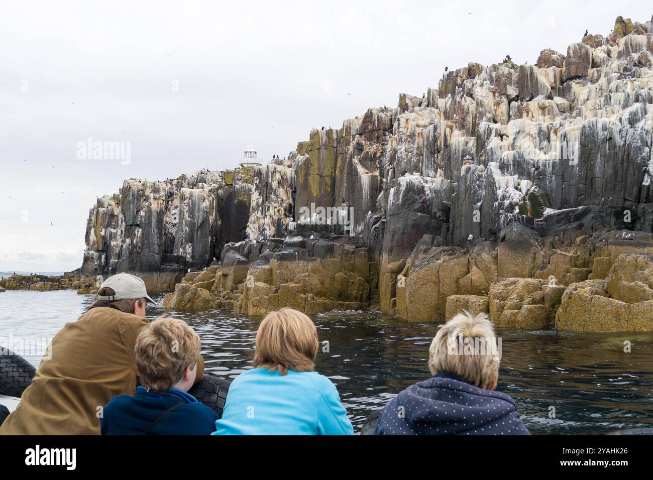 Une excursion en bateau vers les îles Farne depuis Seahouses Banque D'Images