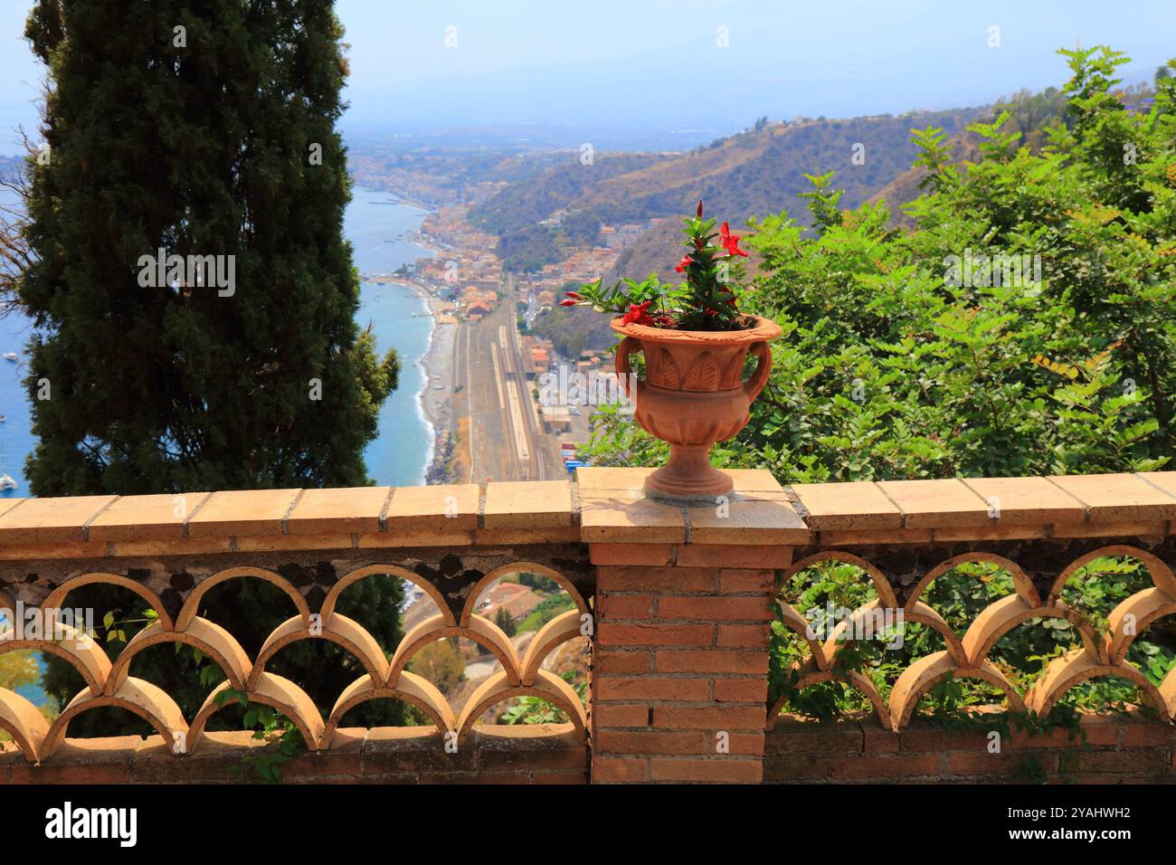 Fleurs de rocktrumpet de Mandevilla à Taormina sur l'île de Sicile, dans le sud de l'Italie. Banque D'Images