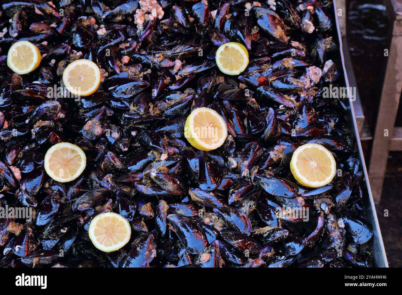 Marché aux poissons de Catane, connu localement sous le nom de la Pescheria. Marché de fruits de mer frais dans la ville de Catane, Sicile, Italie. Moules fraîches. Banque D'Images