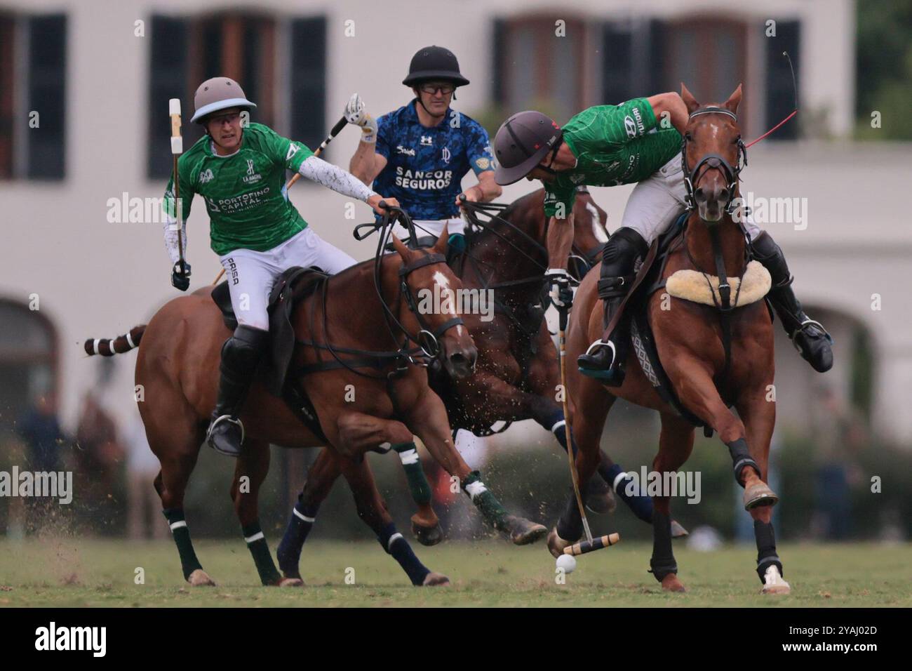 Tortuguitas, Buenos Aires - 13 octobre 2024 : au deuxième tour du 84e Tortugas Country Club Open, présenté par Jumbo, la Dolfina Saudi a triomphé de la hache Cría & Polo avec une victoire de 17-13 sur le terrain 5. Gonzalo Ferrari est intervenu pour un Adolfito Cambiaso blessé, et la Dolfina a trouvé son rythme avec le deuxième chukker, le remportant 4-0 et prenant le contrôle du match. Poroto Cambiaso s’est démarqué avec 8 buts (six au penalty), tandis que Pelón Stirling et Juan M. Nero ont contribué à la bonne performance de l’équipe. Malgré la blessure précoce de Facundo Sola dans le premier chukker, Ignacio Laprida Banque D'Images