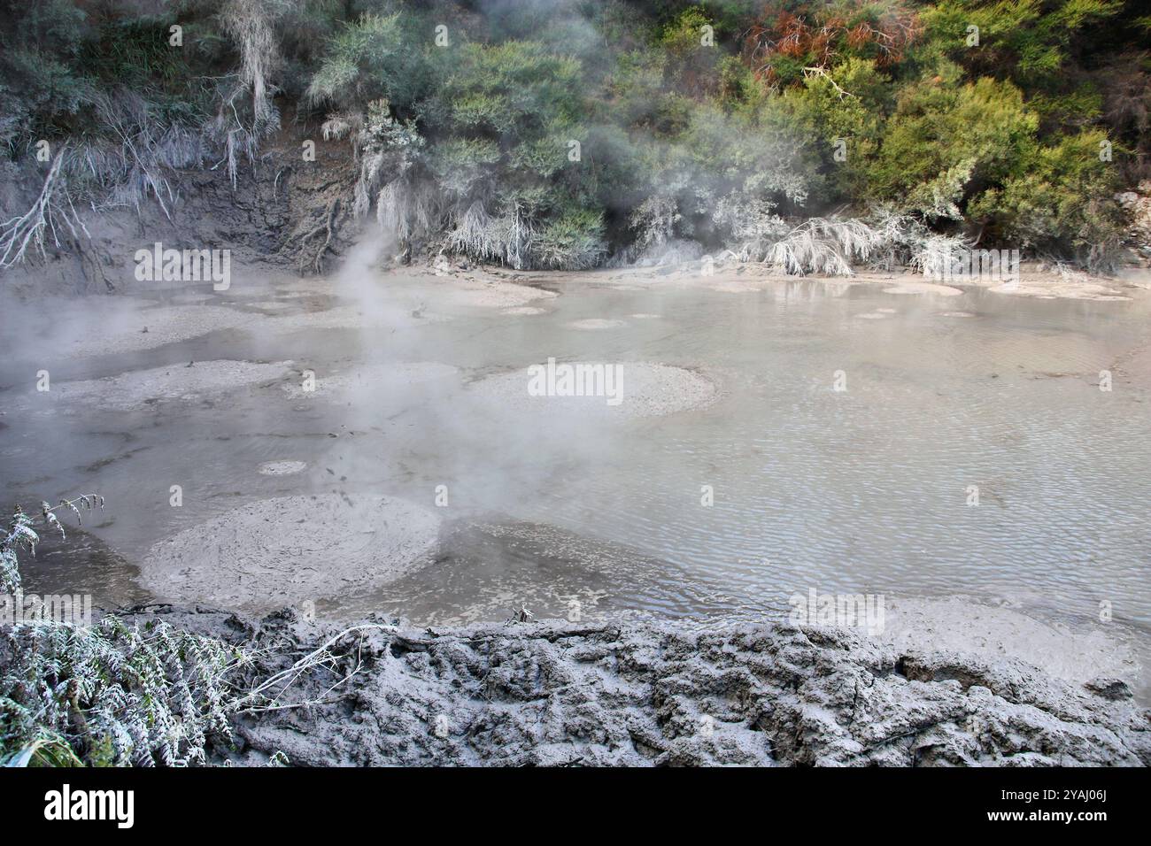 Zone d'activité géothermique de Rotorua dans la région néo-zélandaise Bay of Plenty. Boues bouillantes. Banque D'Images