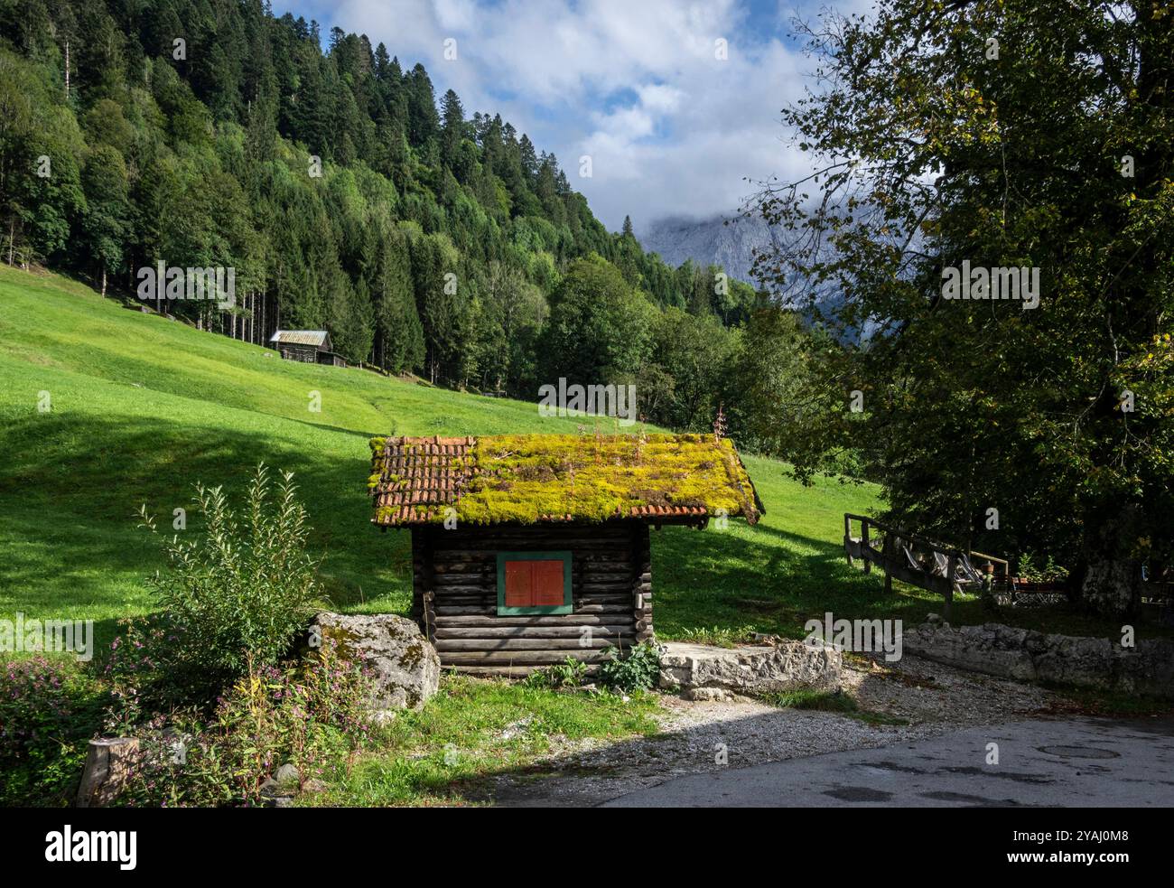 Natur pur : Moos auf der Hütte. - Gräser und Moos bedecken das Dach einer kleinen Almhütte unweit der Partnachklamm südlich von Garmisch-Partenkirchen Banque D'Images