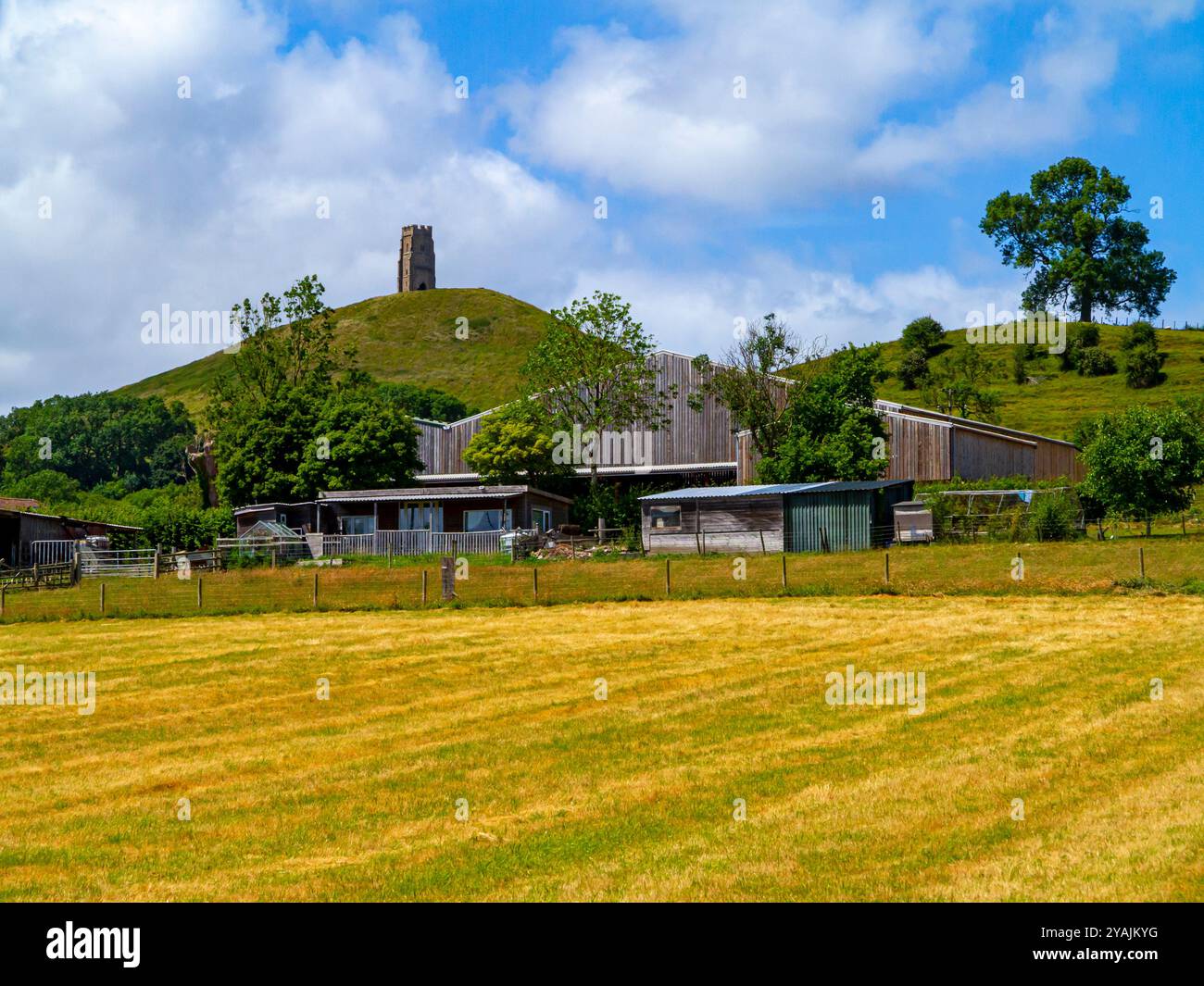 La tour de l'église St Michael sur Glastonbury Tor en été Somerset Angleterre Royaume-Uni avec des bâtiments de ferme et champ au premier plan. Banque D'Images