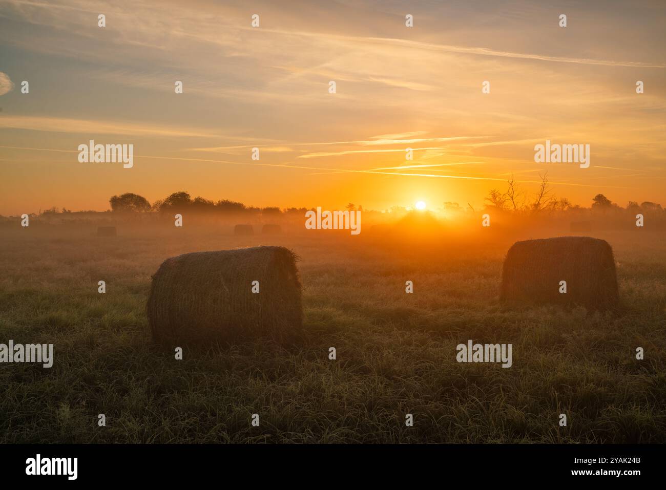 Lever de soleil spectaculaire sur une prairie brumeuse Banque D'Images