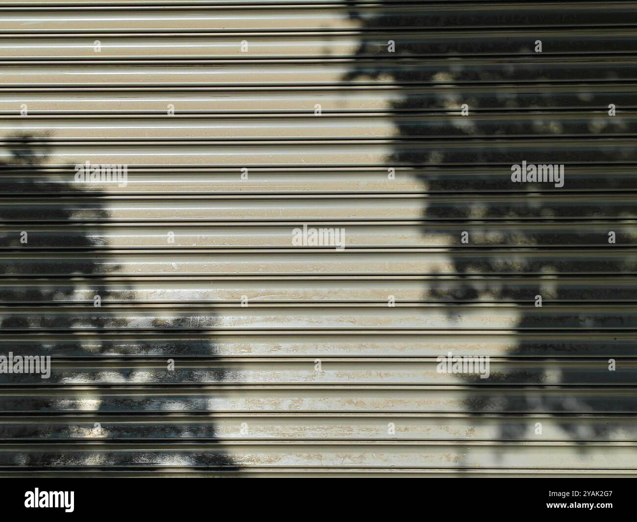 Le jeu enchanteur des ombres d'arbre sur les portes de garage. Une étude des motifs naturels et de l'attrait esthétique. Banque D'Images