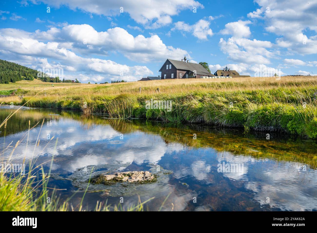 Le paisible village de Jizerka, niché dans les montagnes de Jizera, présente de charmants cottages à côté d'un étang réfléchissant. Des nuages moelleux dérivent dans le ciel bleu, améliorant ce cadre rural pittoresque. Banque D'Images