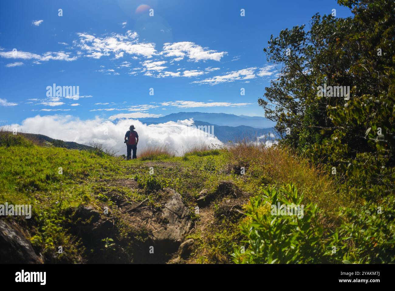 Jeune homme randonnant dans les montagnes de la Sierra Nevada de Santa Marta, Colombie Banque D'Images