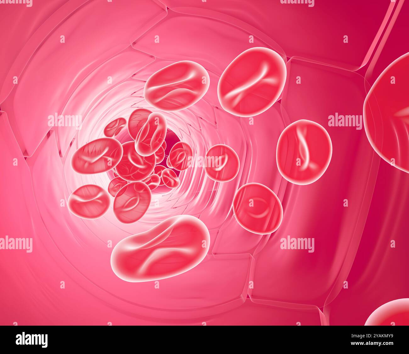 Illustration 3D de l'intérieur anatomique d'une artère ou d'une veine avec le mouvement des composants sanguins. Globules rouges, leucocytes et plaquettes. Banque D'Images