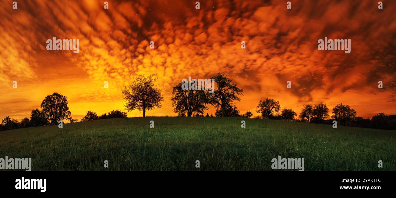 Silhouettes d'une rangée d'arbres à l'horizon, avec un ciel rouge dramatique. Rémanence intense dans un panorama fantastique surréaliste Banque D'Images