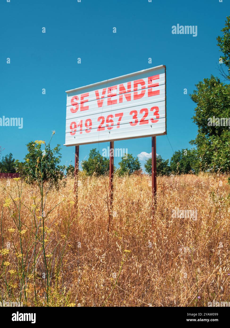 Un grand signe se Vende (à vendre en espagnol) avec un FAUX numéro de téléphone se tient dans un champ sec envahi par la végétation, indiquant une propriété à vendre dans une zone rurale. Banque D'Images