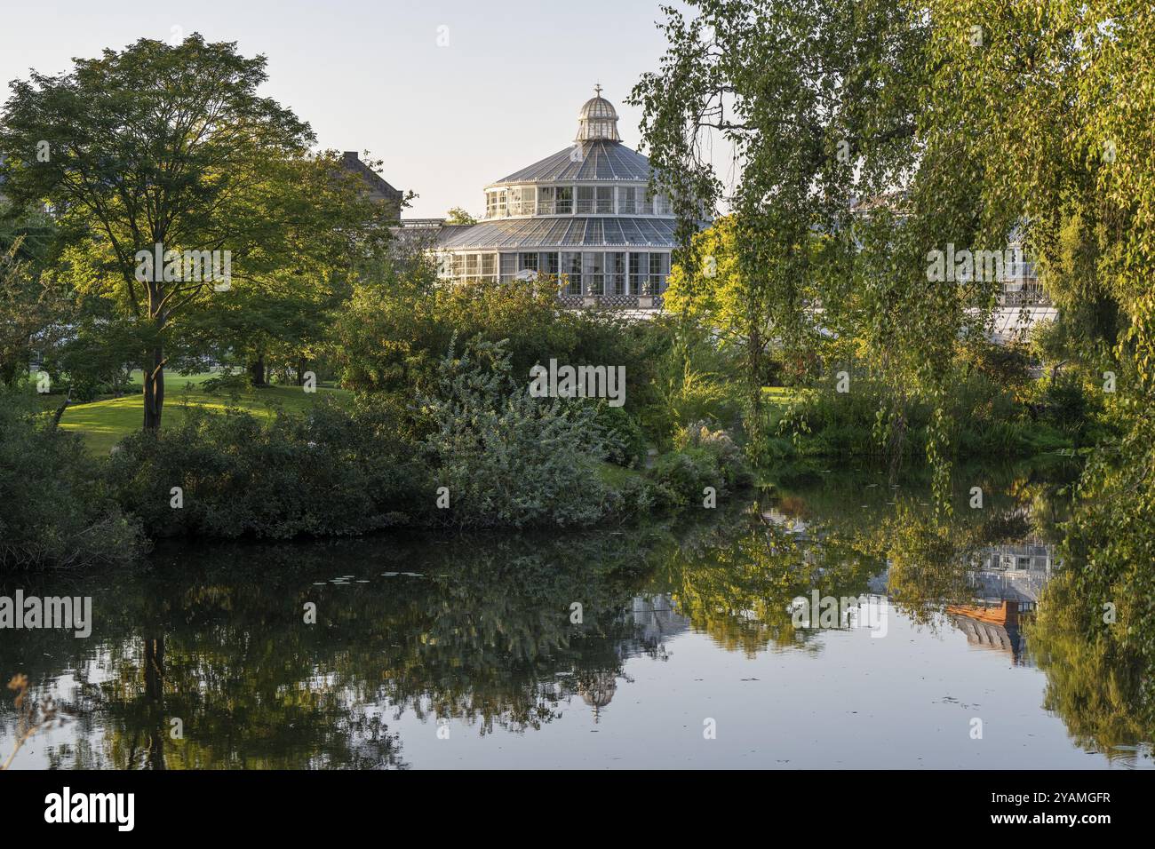 Grande serre, maison de palmiers avec façade en verre et arbres reflétés dans un lac calme sous un ciel bleu, jardin botanique ou Botanisk Have, Université, COP Banque D'Images