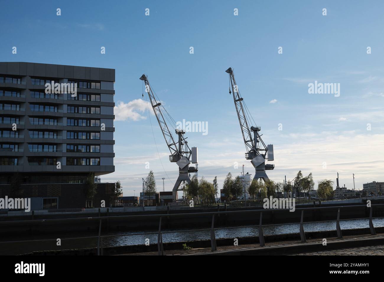 Systèmes de grues dans le port de Hambourg, ville hanséatique de Hambourg, Allemagne, Europe Banque D'Images