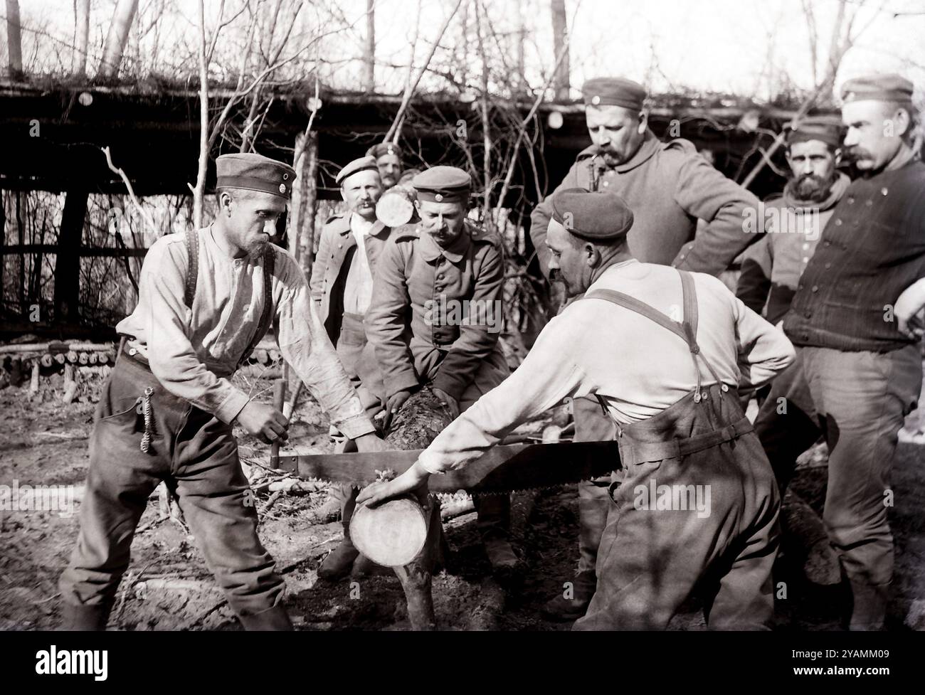 Soldats allemands construisant l'abri. Première Guerre mondiale, Vosges, France. Soldats allemands pendant la construction de logements Banque D'Images